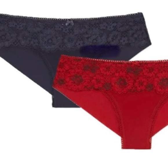 Adore Me Chelsey Cheeky Panties 2 Pair New! - Picture 7 of 10